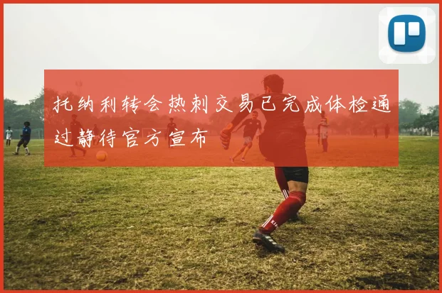 托纳利转会热刺交易已完成体检通过静待官方宣布